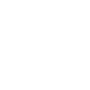 INC5000